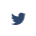 twitter icon
